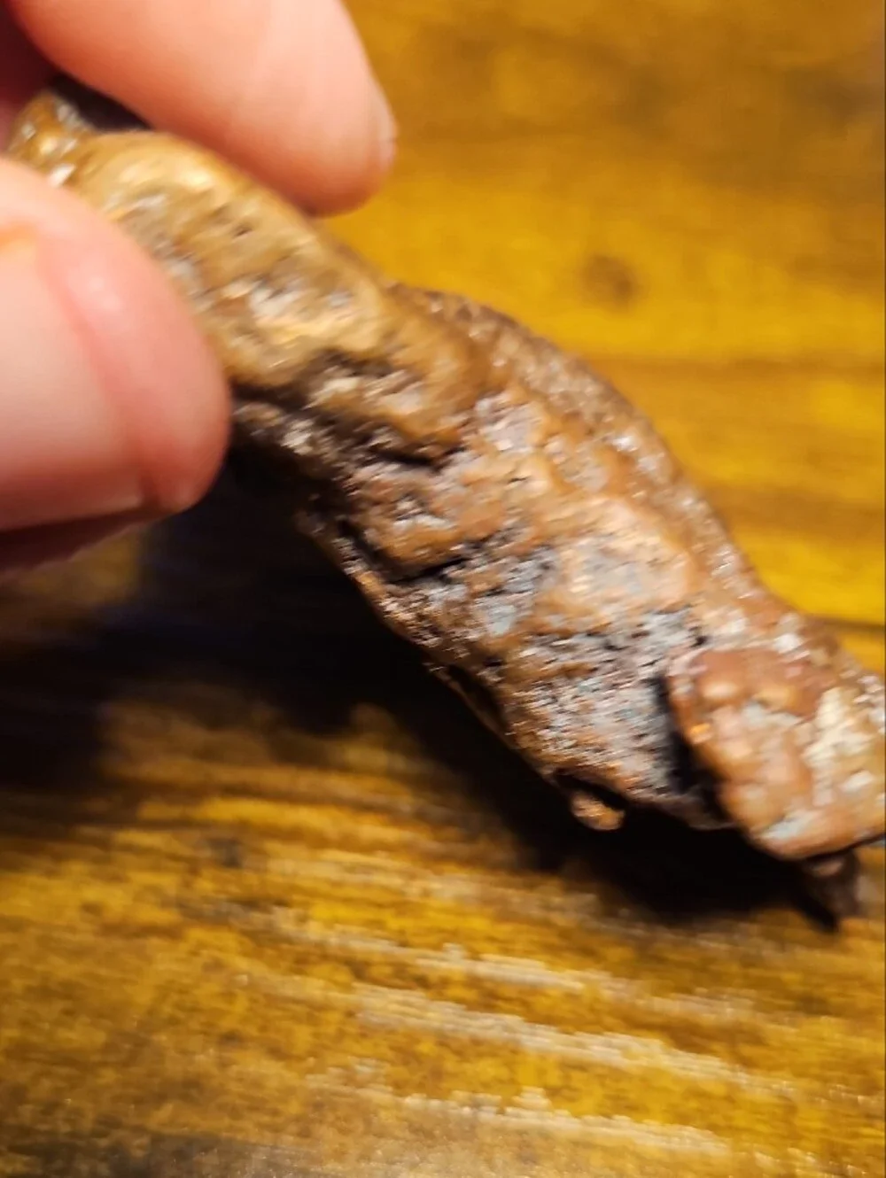 Natural Copper Specimen from Michigan's U.P.